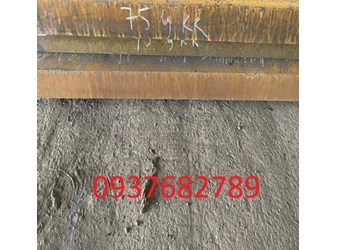 Tôn Q355B-Vật liệu Q355B-Thép tấm Q355B dày 70/72/74/75/76/78mm-ly
